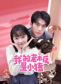 我的老板是小猪第2集