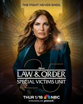 法律与秩序：特殊受害者 第二十五季第12集