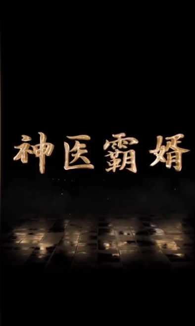 神医霸婿第03集