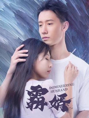 霸婿第02集