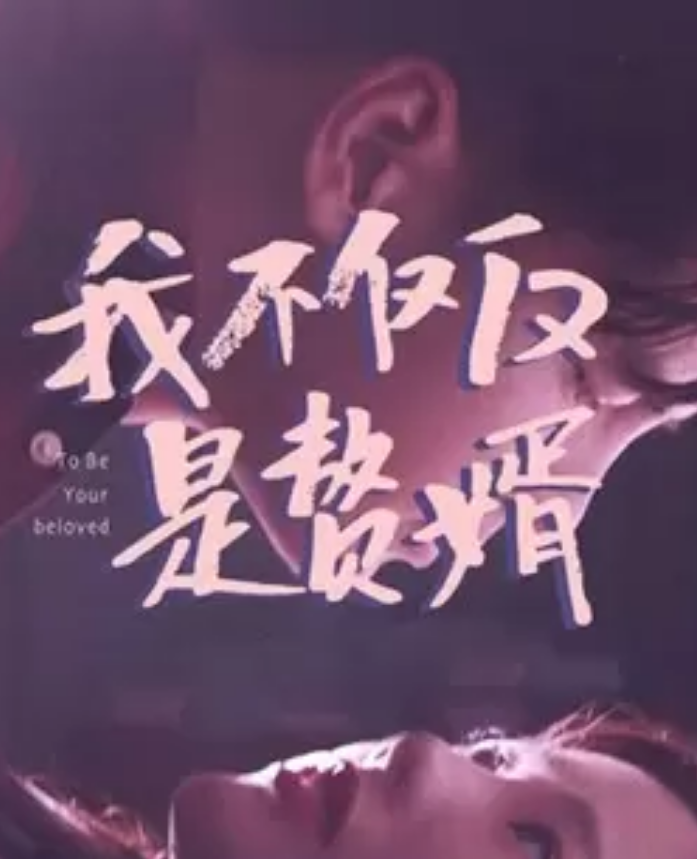 我不仅仅是赘婿第04集