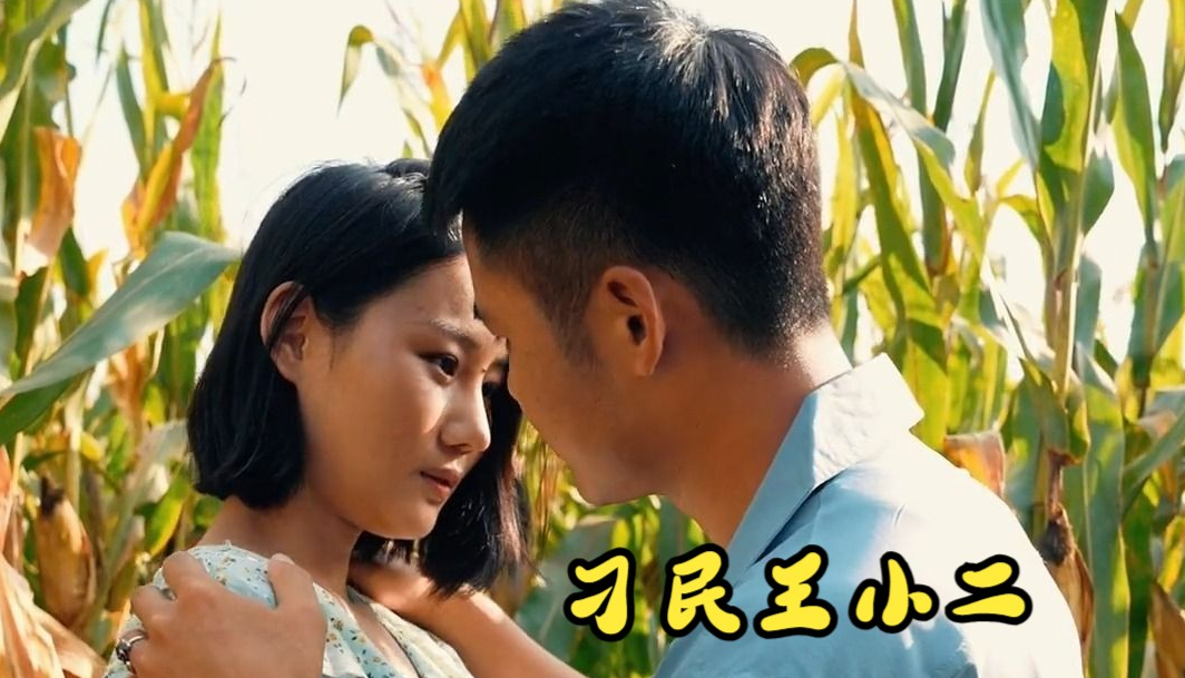 刁民王小二第03集