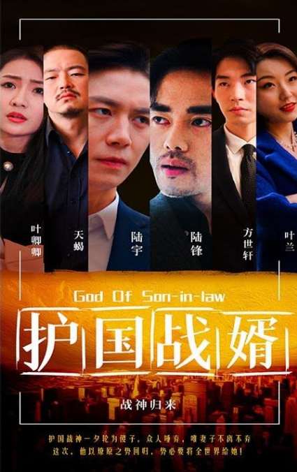 护国战婿第02集