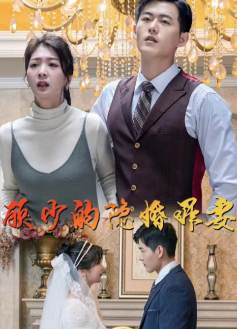 顾少的隐婚罪妻第04集