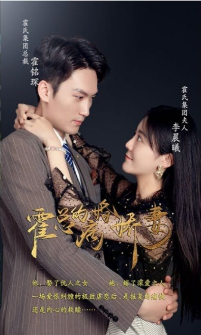 霍总的病婚娇妻第09集