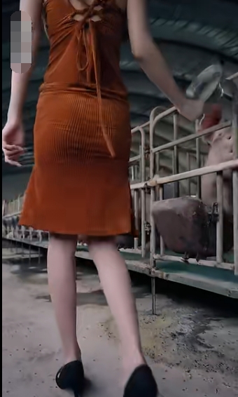 未来日记短剧第02集