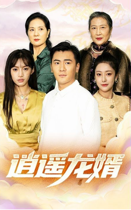 逍遥龙婿第13集