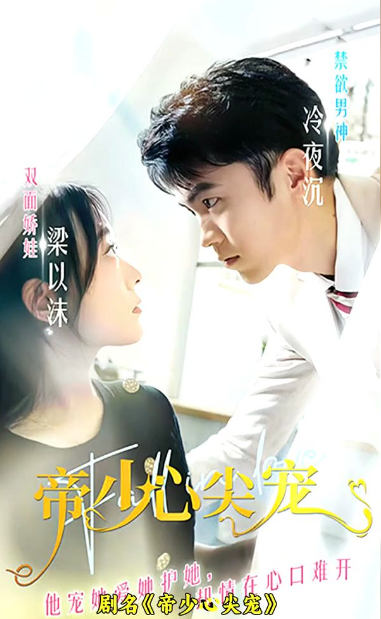 帝少心尖宠第12集