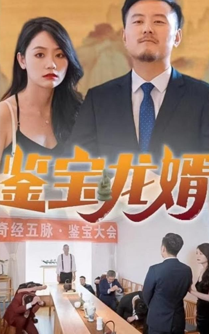 鉴宝龙婿第02集