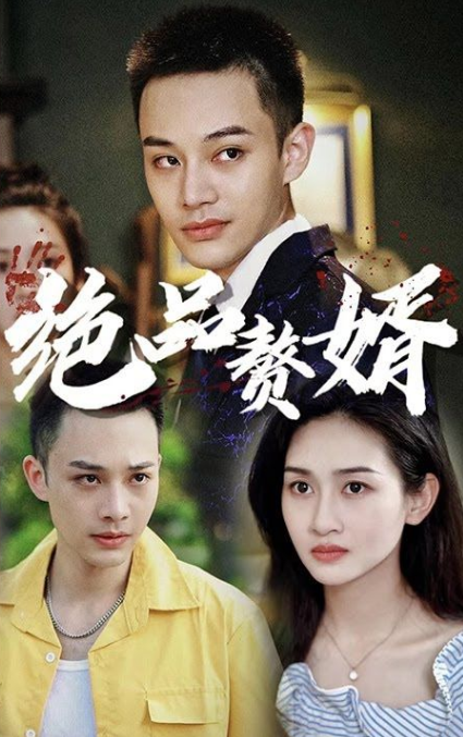 绝品赘婿第13集