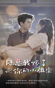 陆总，我怀了你的小祖宗第09集