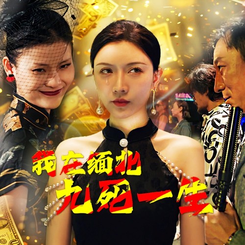 我在缅北九死一生第51集