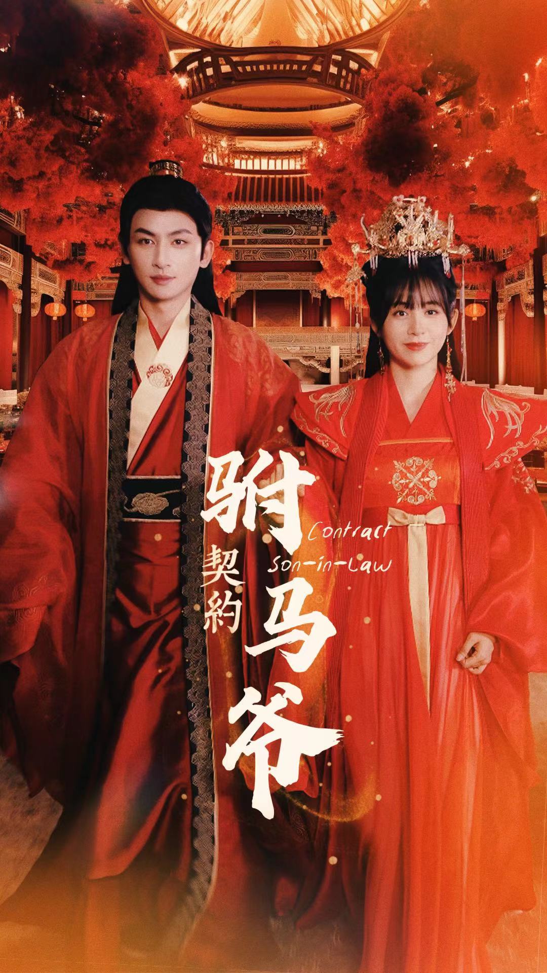 契约驸马爷第02集
