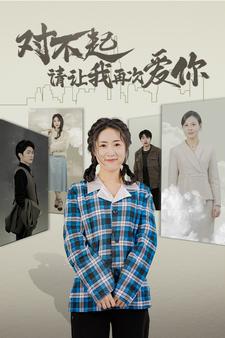 对不起请让我再次爱你第45集