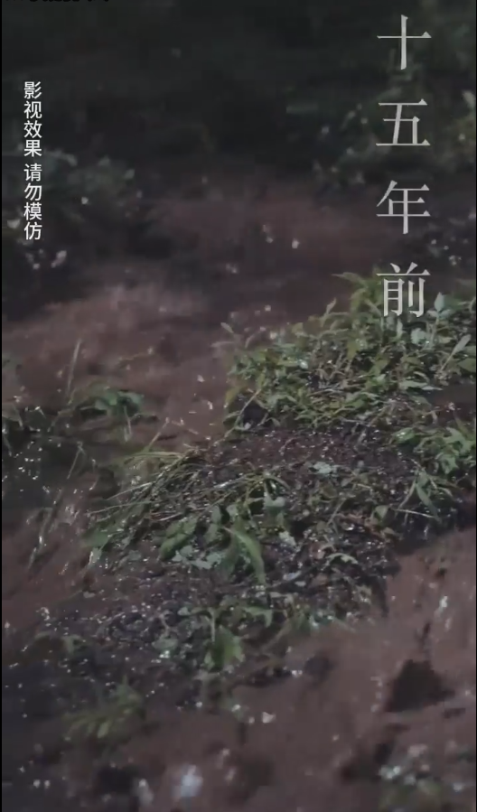 云深见朝阳第44集