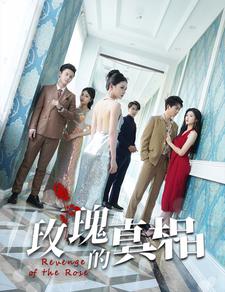 玫瑰的真相第71集