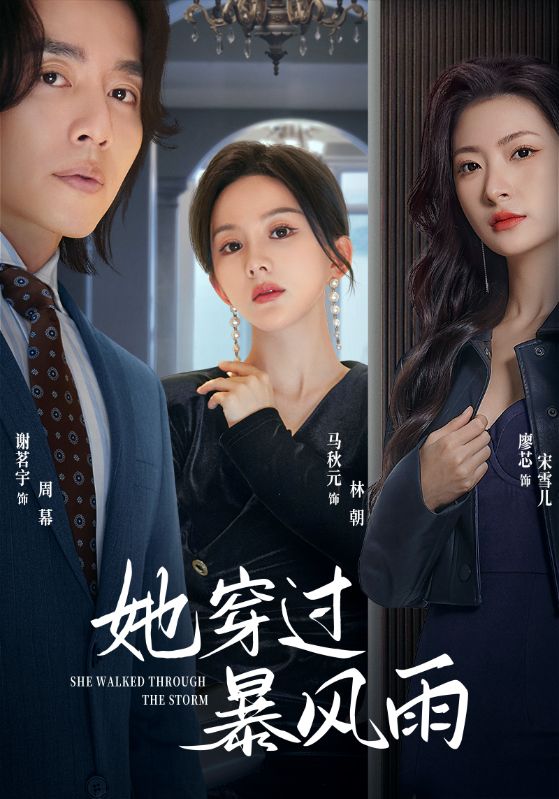 她穿过暴风雨第02集