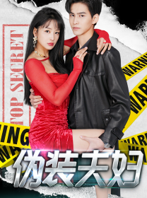 伪装夫妇第02集