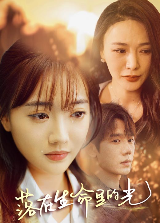 落在生命里的光第05集