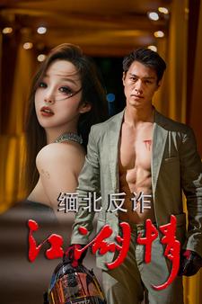 缅北反诈江湖情第02集