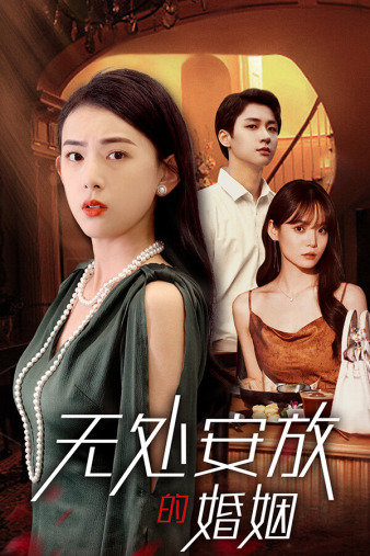 无处安放的婚姻第09集