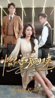 恰似红颜归来第02集
