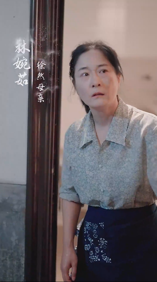 谁怜天下慈母心短剧第03集