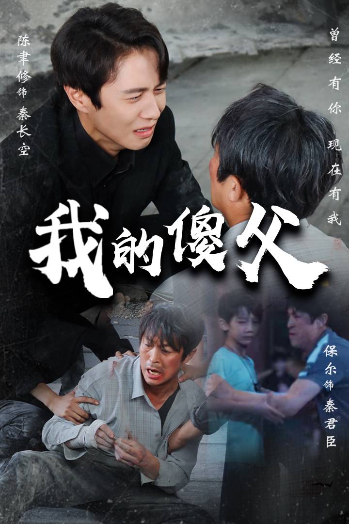 我的傻父第02集