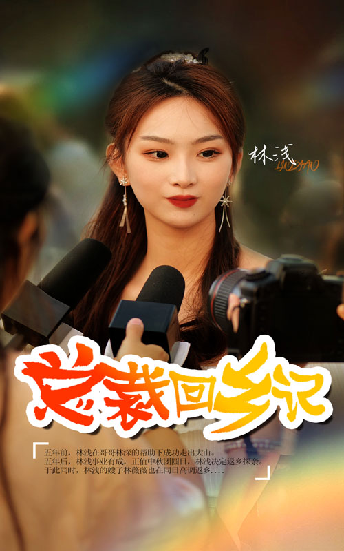 总裁回乡记第02集