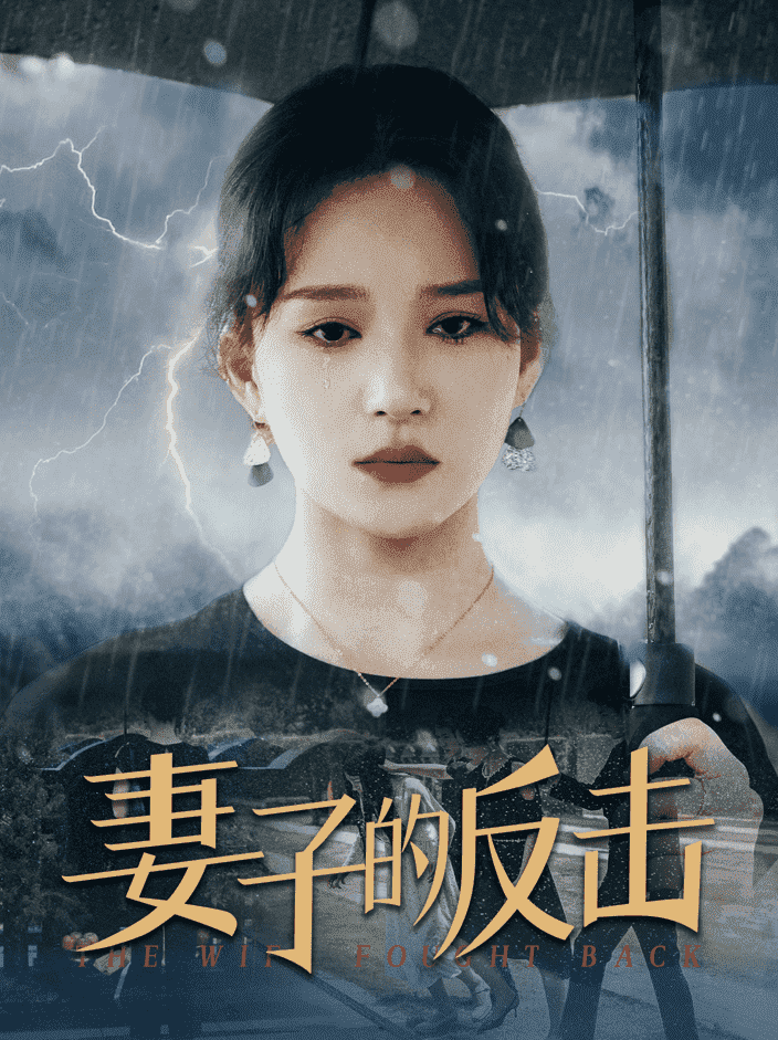 妻子的反击第02集