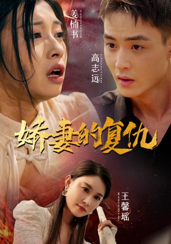 娇妻的复仇第09集