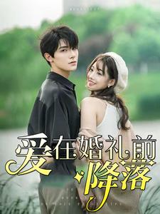 爱在婚礼前降落第02集