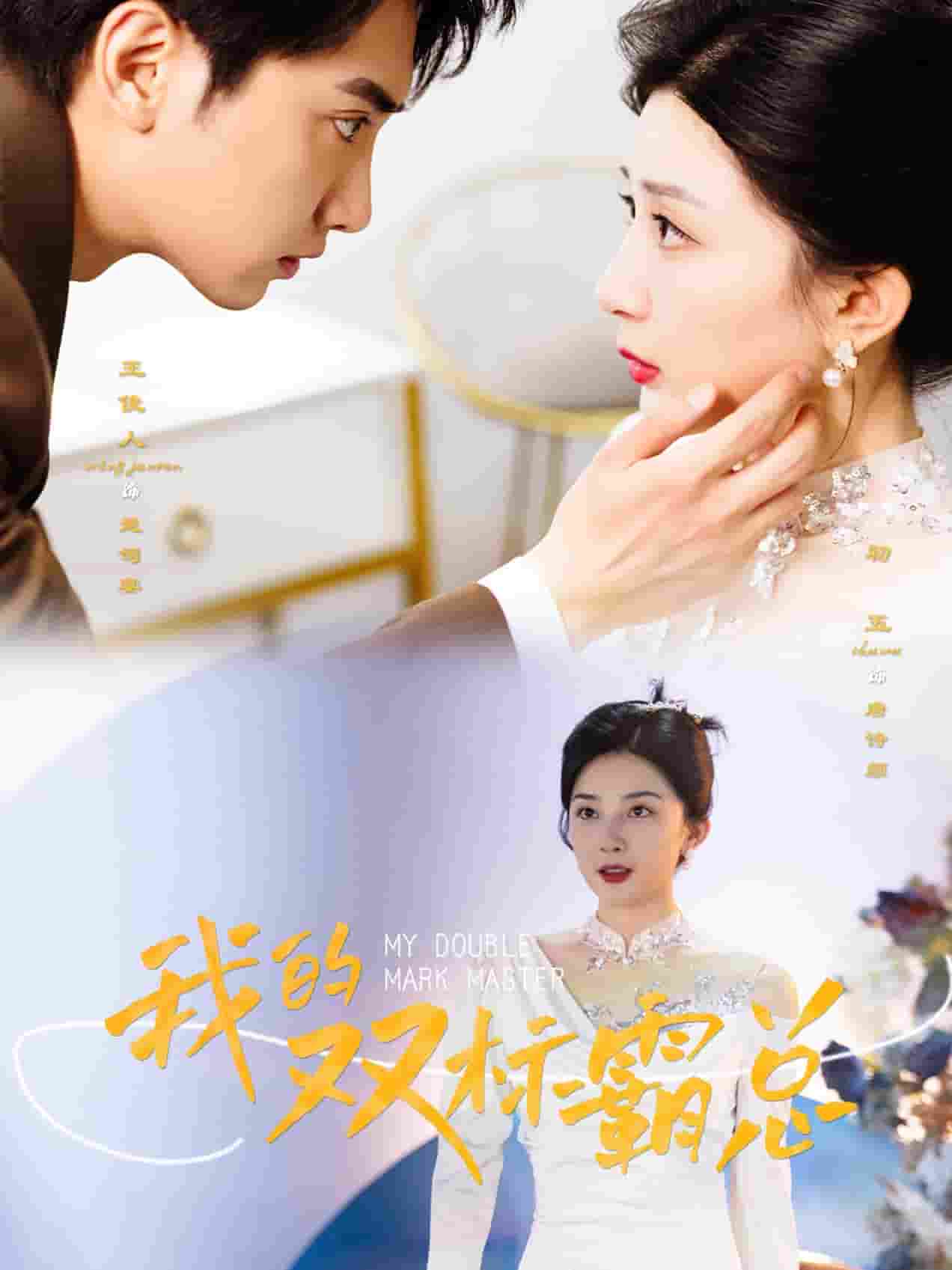 我的双标霸总第48集