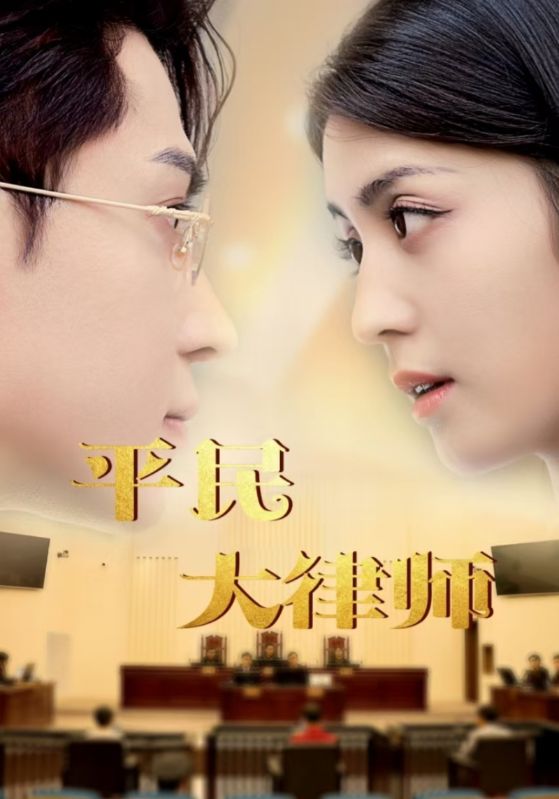 平民大律师第45集