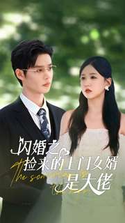 闪婚之捡来的上门女婿是大佬第09集
