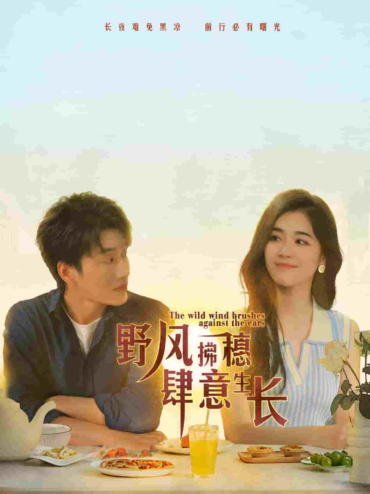 野风拂穗肆意生长第01集