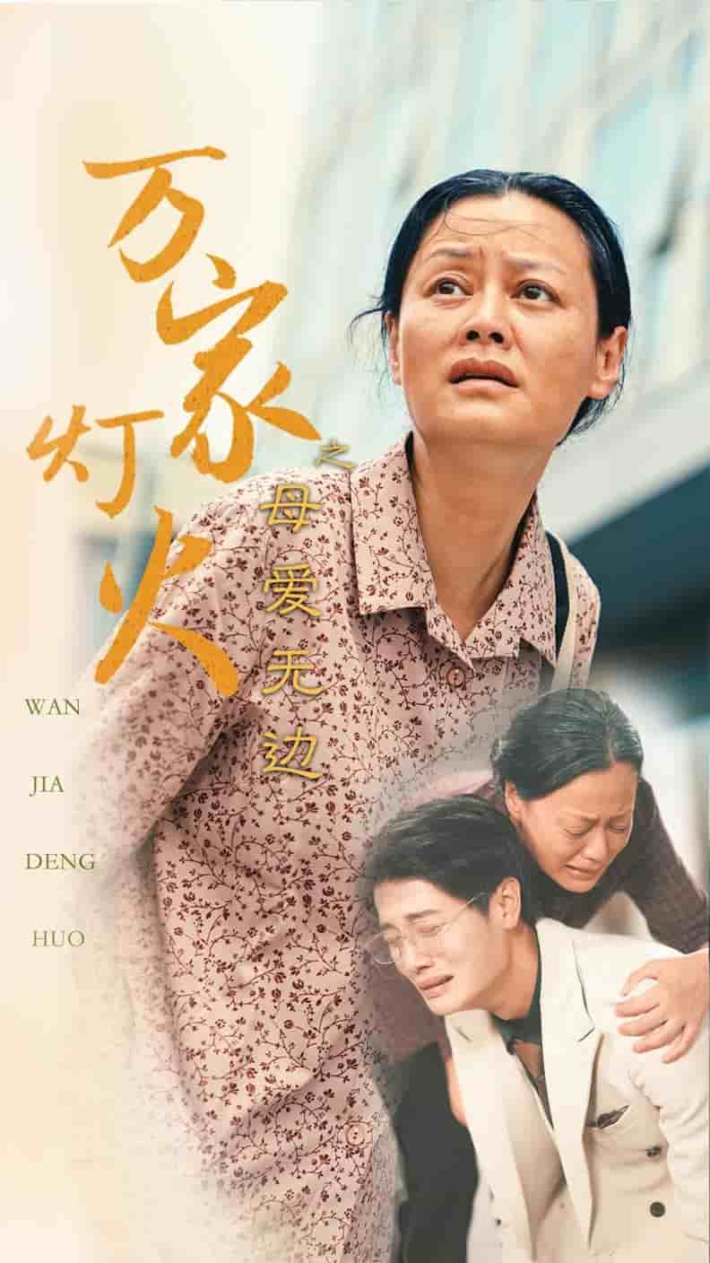 万家灯火之母爱无边第28集