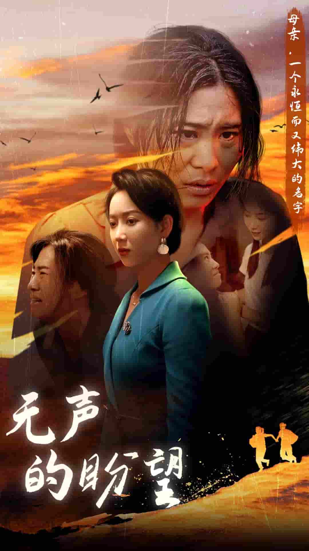 无声的盼望第08集