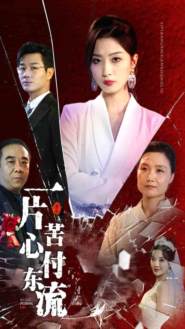 一片苦心付东流第02集