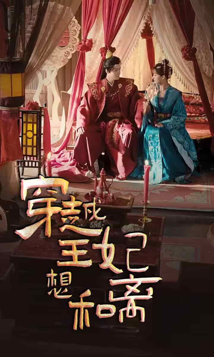 穿越王妃想和离第02集