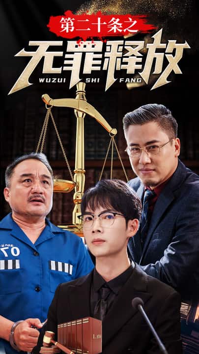 第二十条之无罪释放第07集