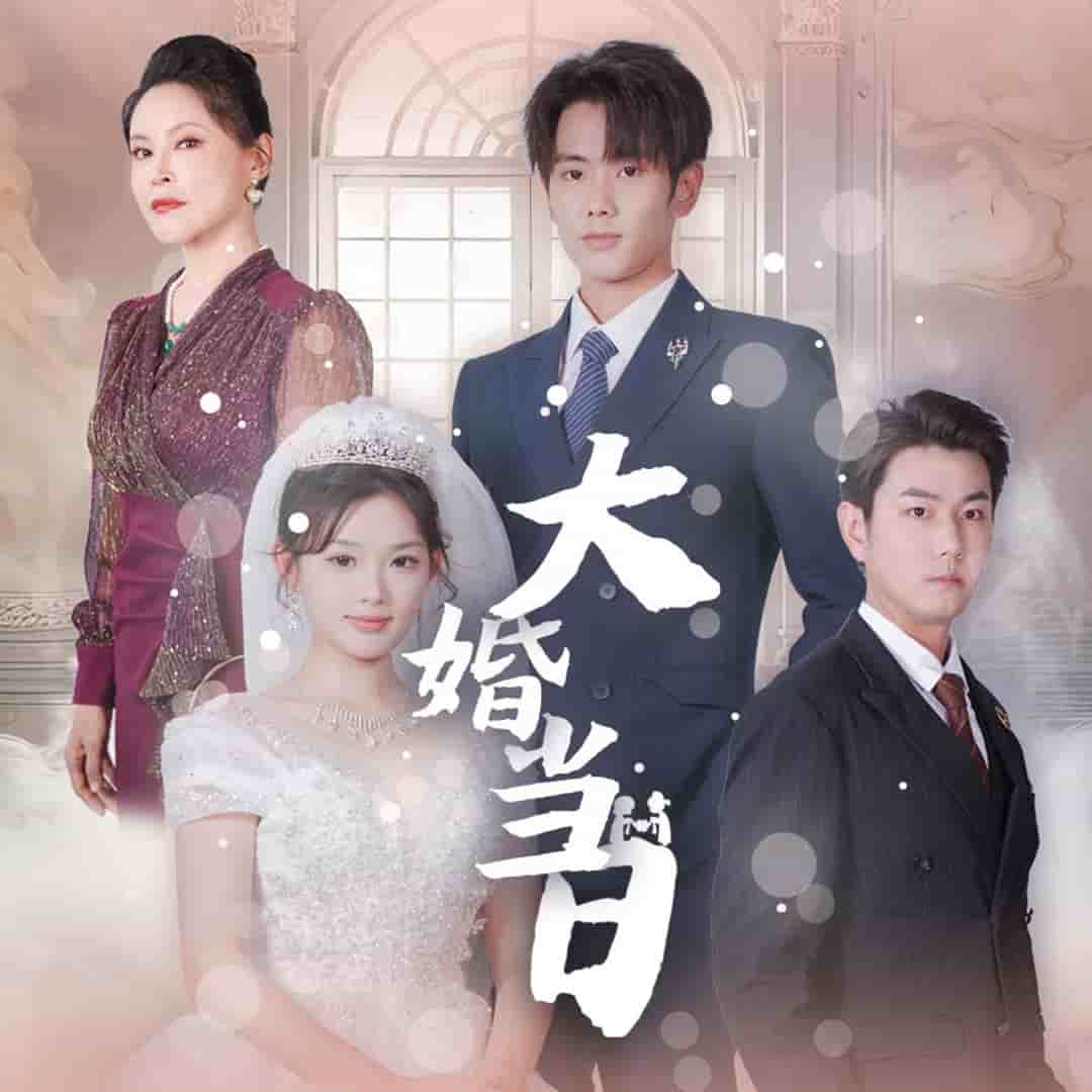 大婚当日第16集