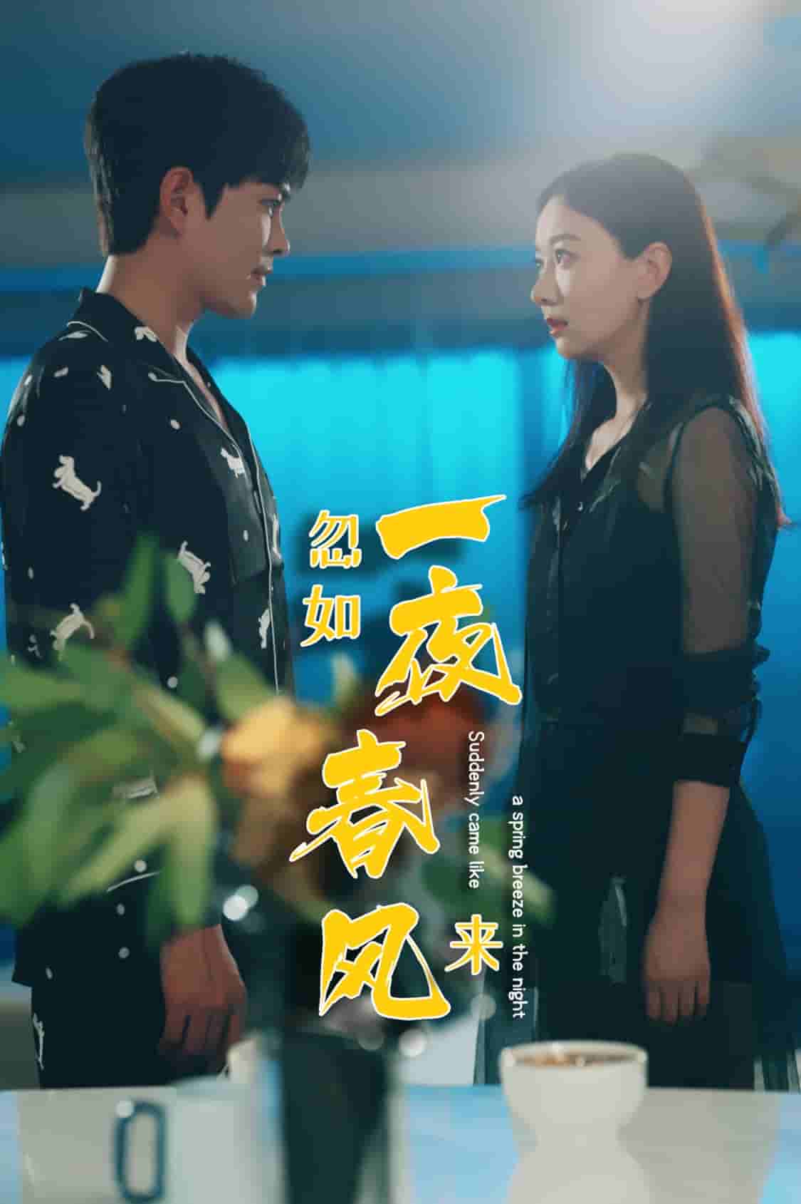 忽如一夜春风来第10集