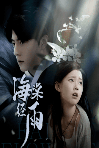 海棠经雨第28集