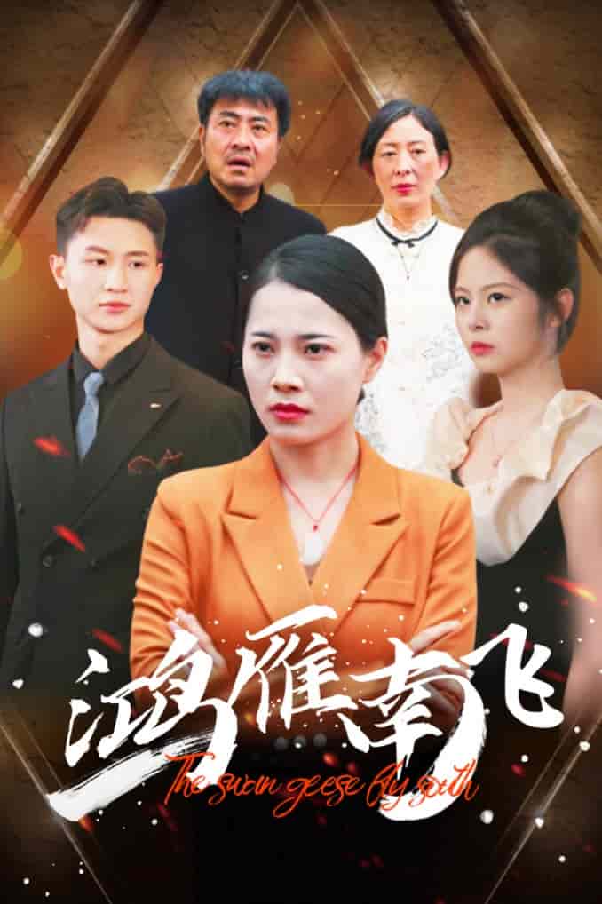 鸿雁南飞第02集