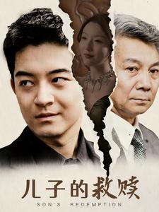 儿子的救赎第27集