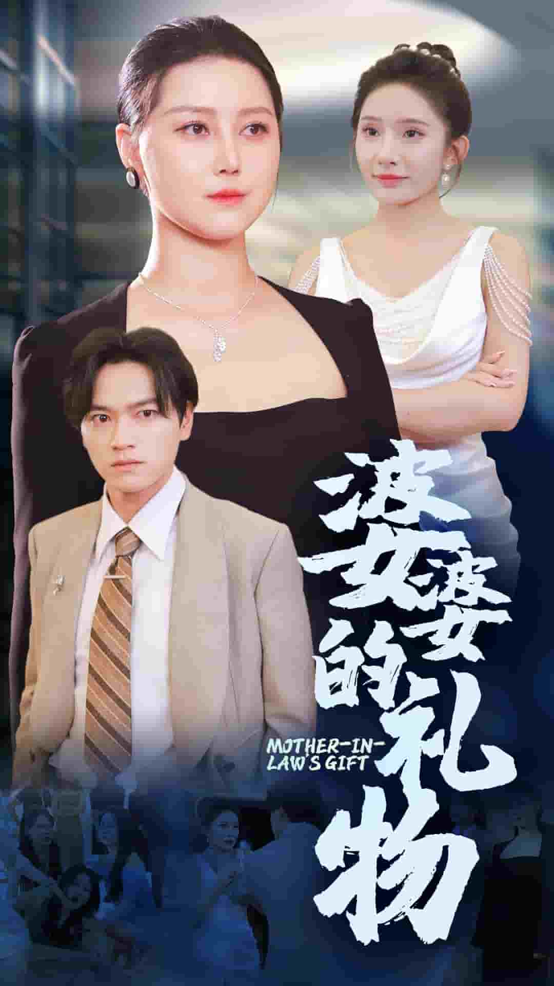 婆婆的礼物第28集