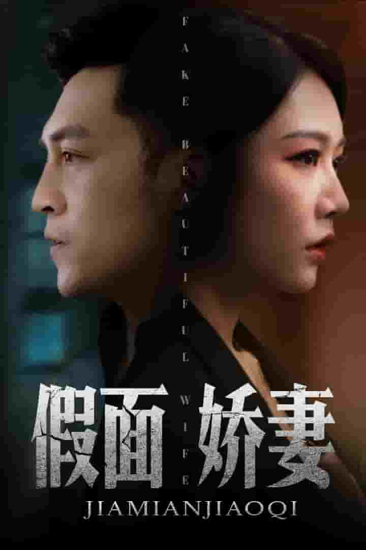 娇妻的谎言第41集