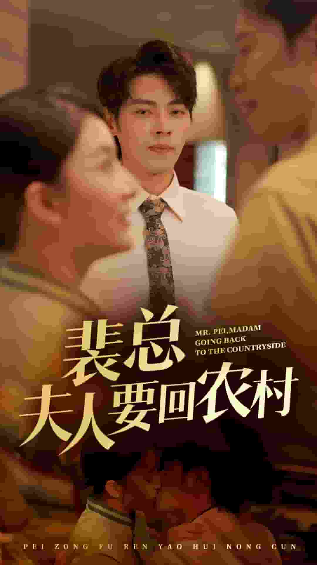 裴总夫人要回农村第45集