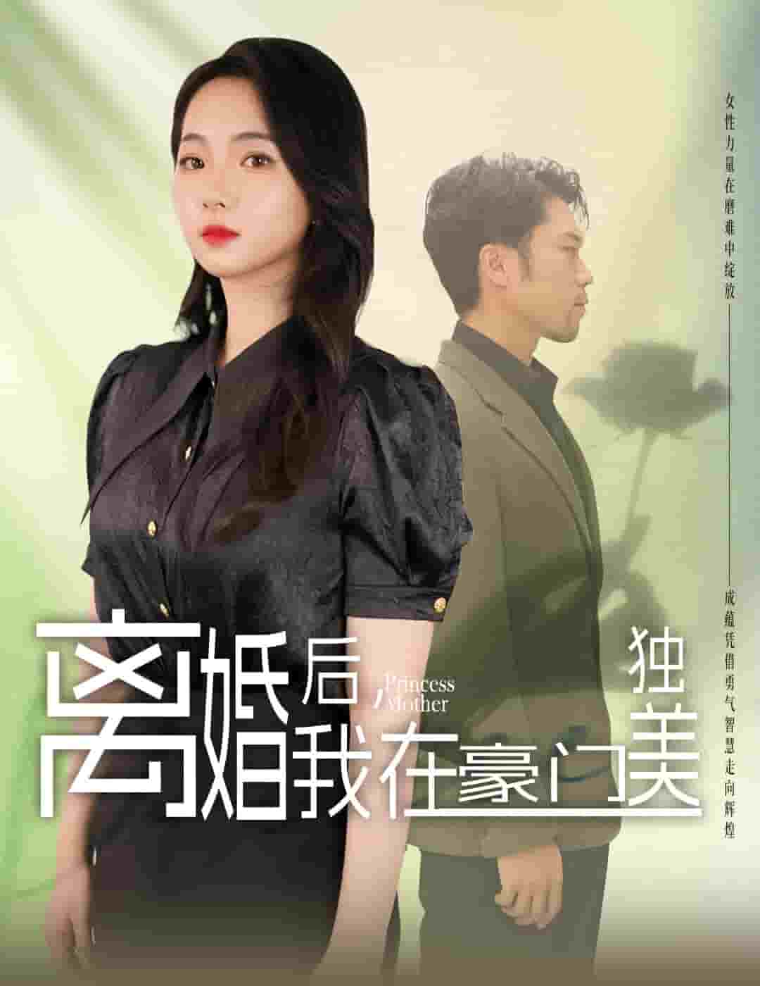 离婚后，我在豪门独美第04集
